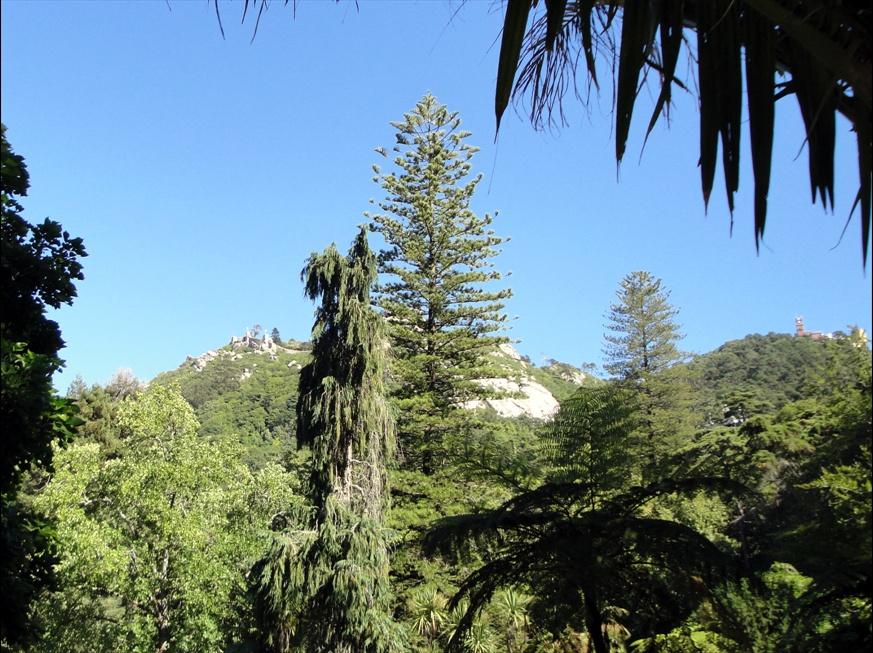 Foto de Sintra, Portugal