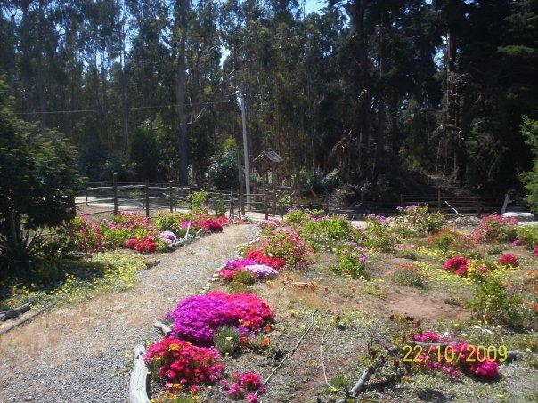 Foto de Caleta Horcon, Chile