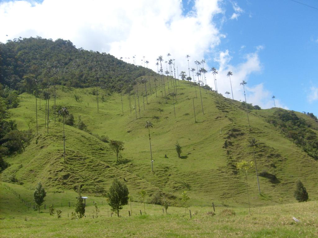 Foto de Salento (Quindio), Colombia