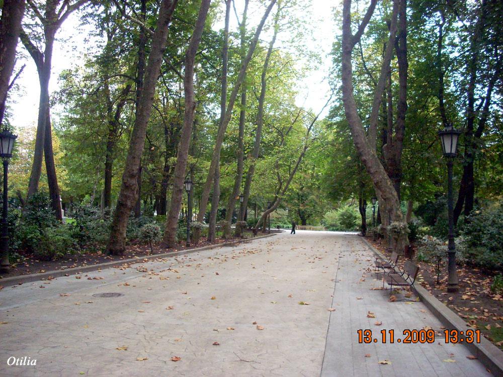 Foto de Oviedo (Asturias), España