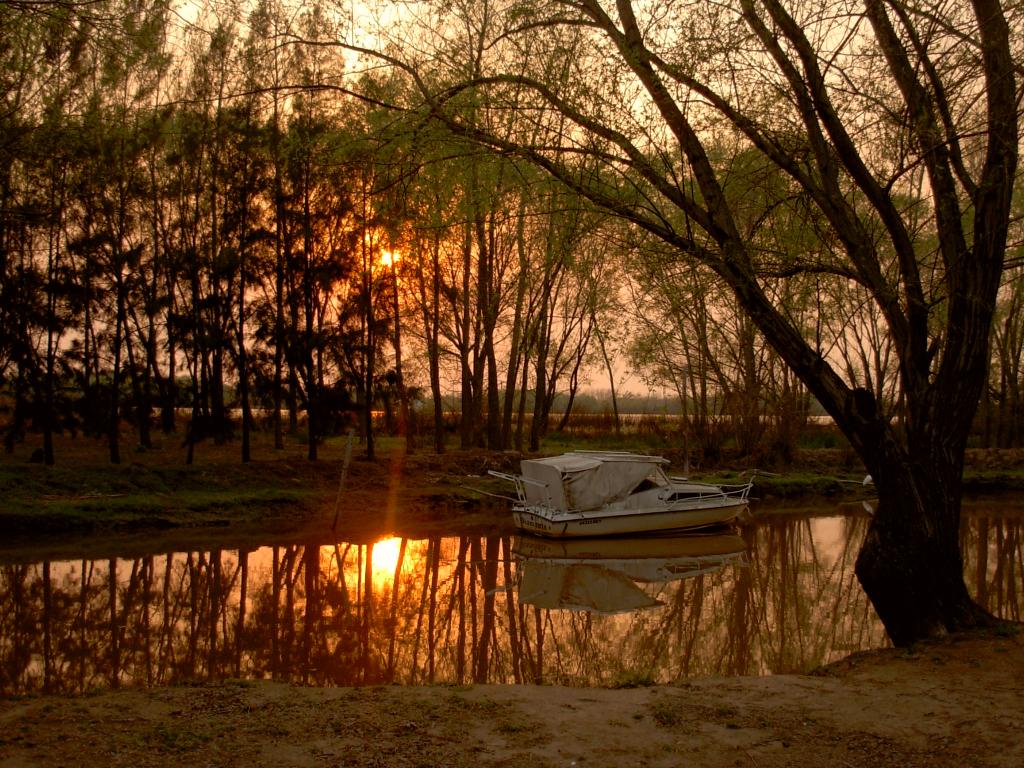 Foto de Club Guazu, Argentina