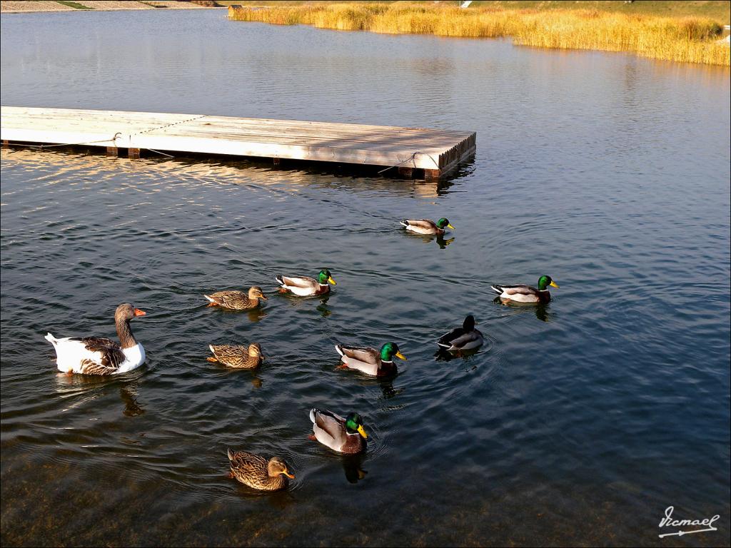 Foto de Zaragoza (Aragón), España