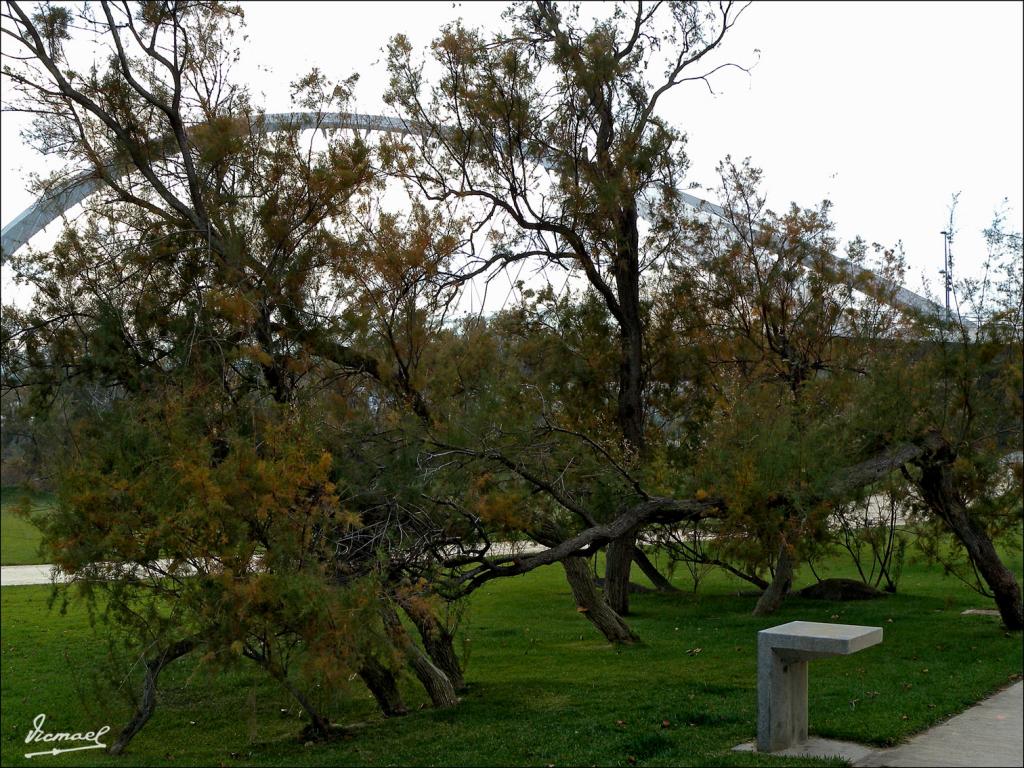 Foto de Zaragoza (Aragón), España