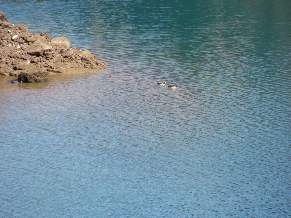 Foto de San Rafael (Mendoza), Argentina