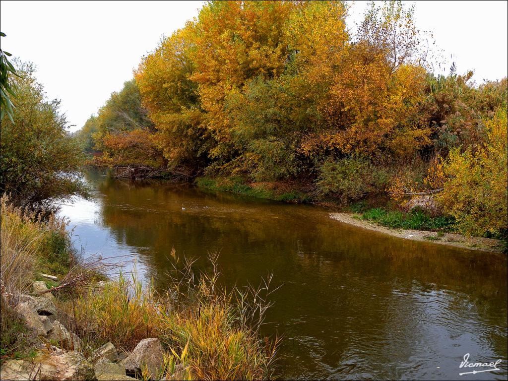 Foto de Zaragoza (Aragón), España