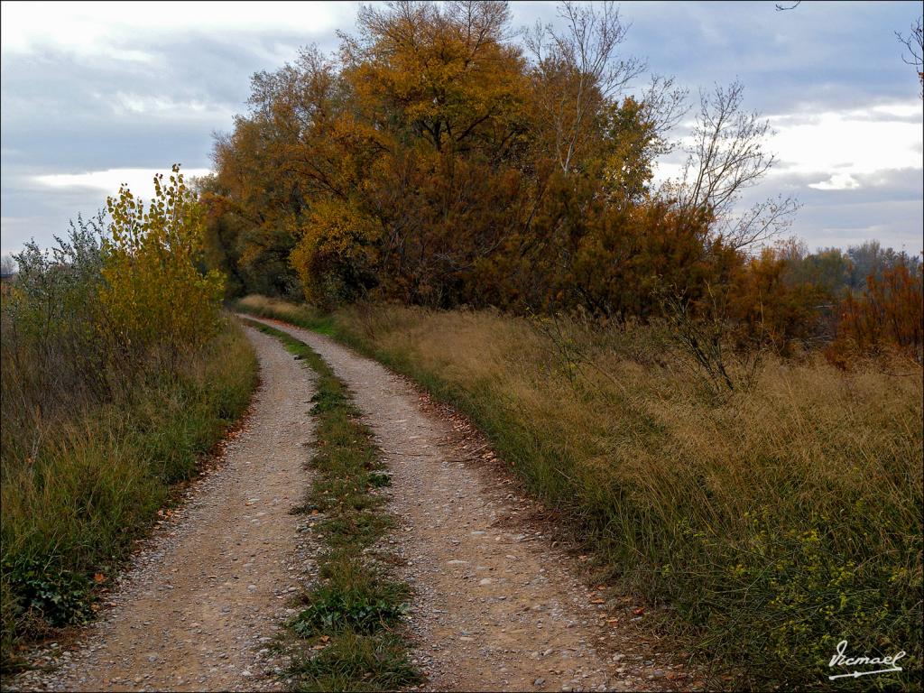 Foto de Zaragoza (Aragón), España