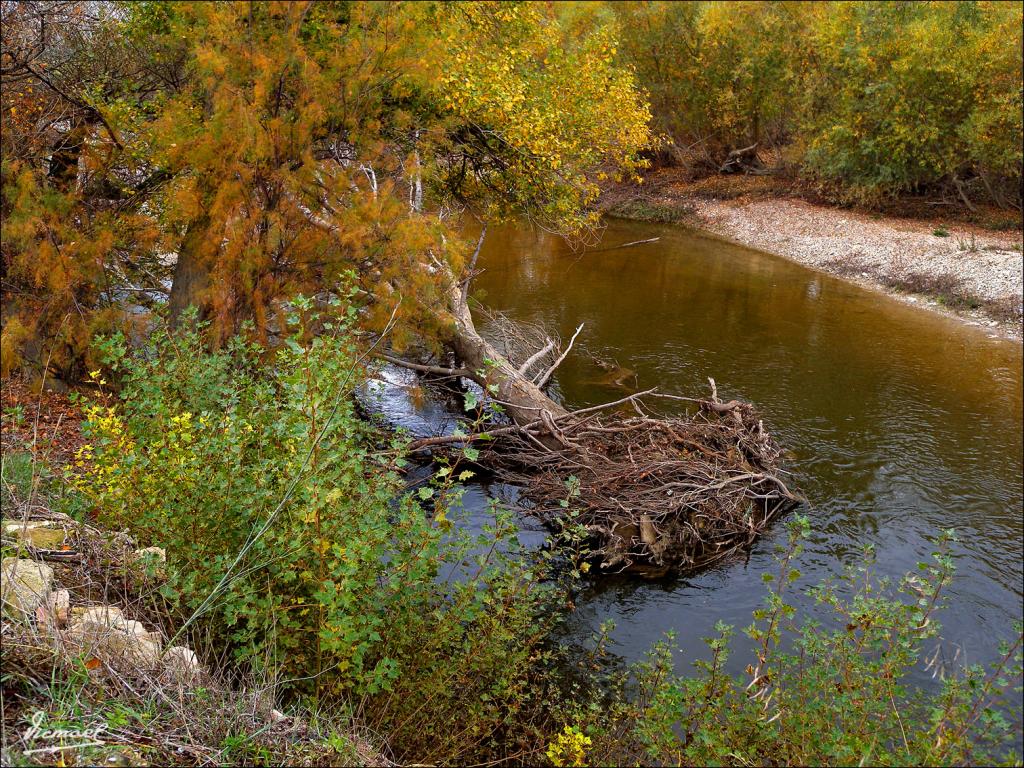 Foto de Zaragoza (Aragón), España