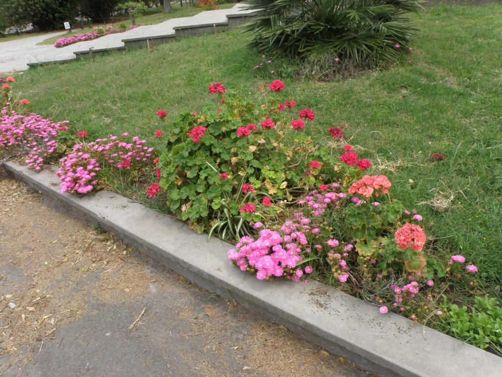 Foto de Victoria (Entre Ríos), Argentina