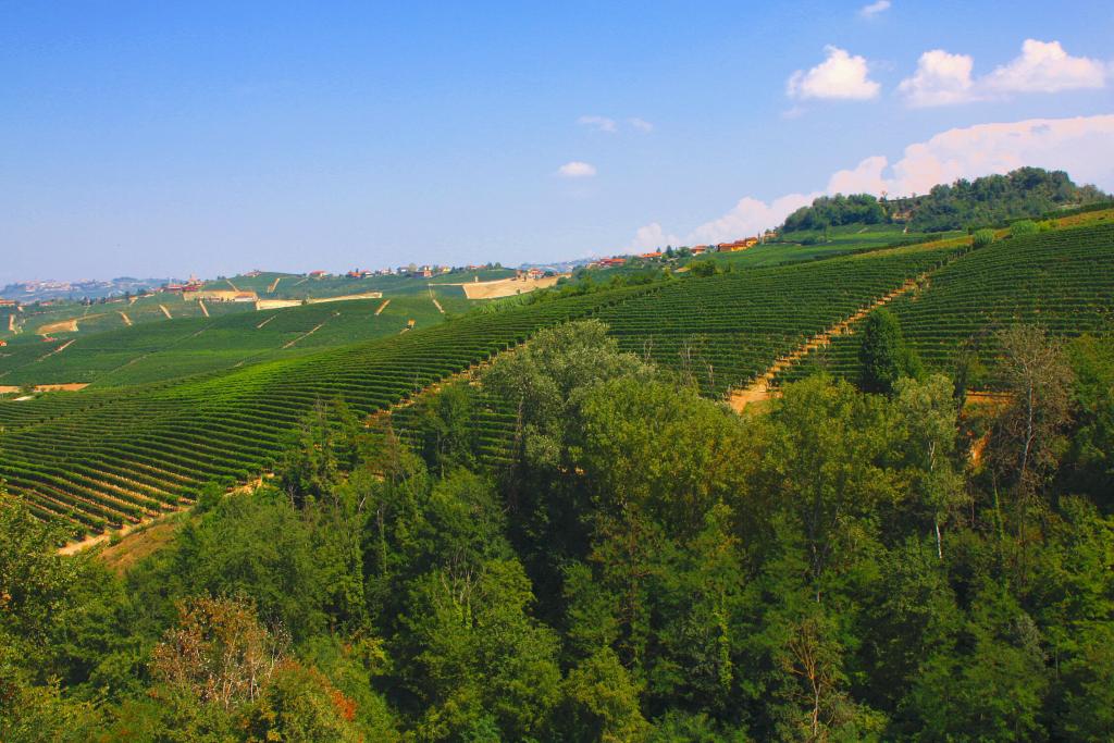 Foto de Barolo, Italia
