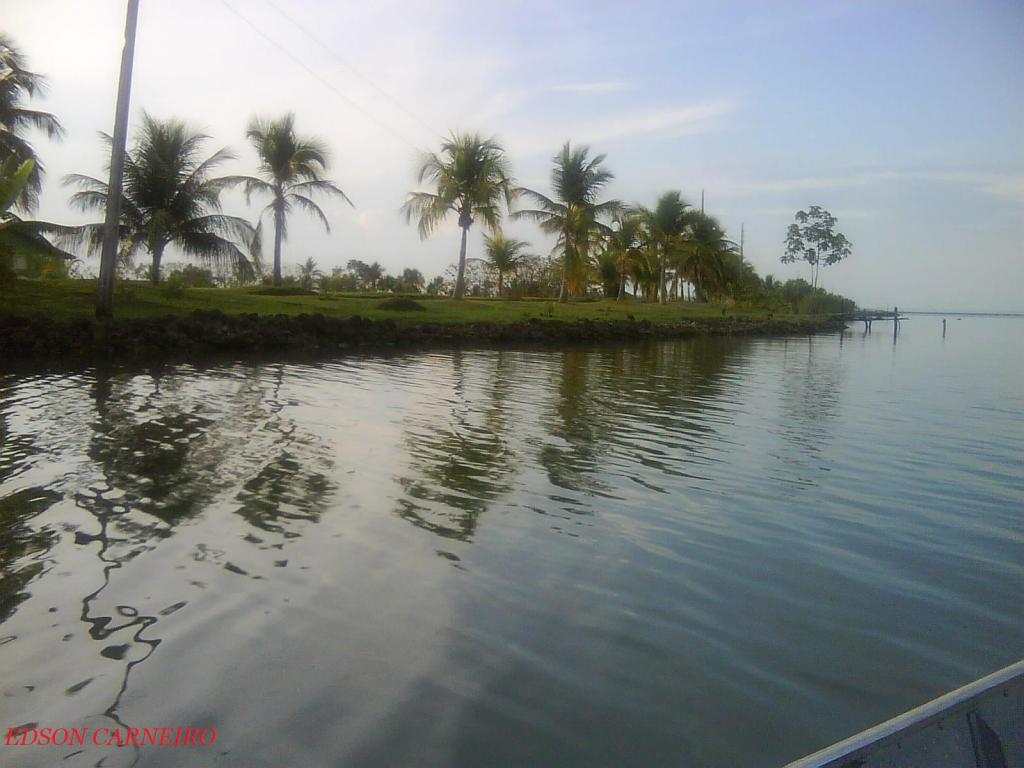 Foto de Palmas to, Brasil