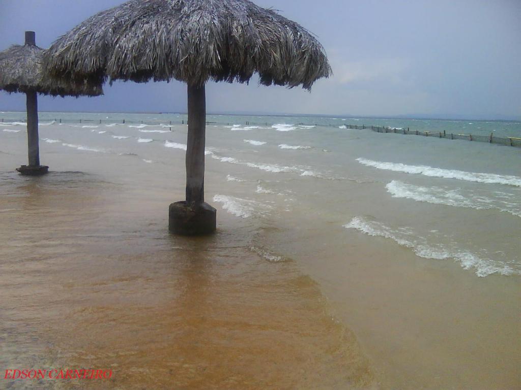 Foto de Palmas to, Brasil