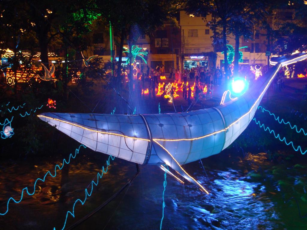 Foto de Cali (Valle), Colombia