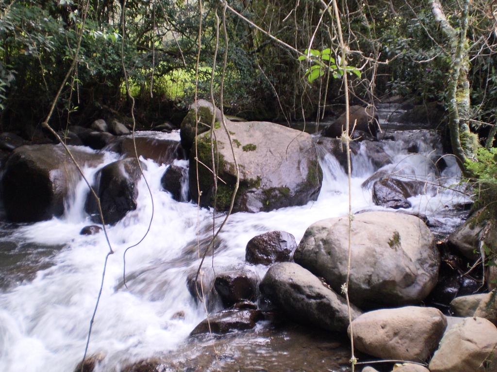 Foto de La Florida (Nariño), Colombia