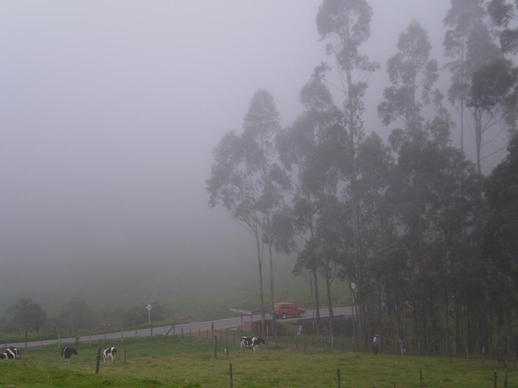 Foto de Vereda el Barranco (La Florida), Colombia