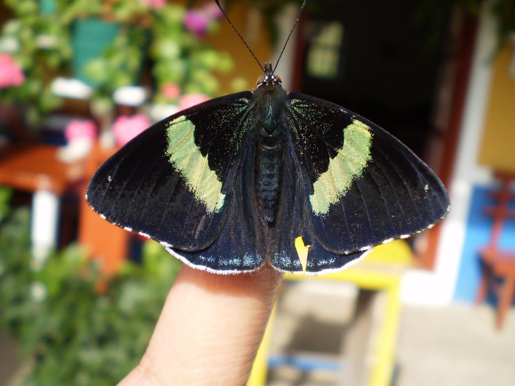 Foto de VEREDA EL BARRANCO (NARIÑO), Colombia