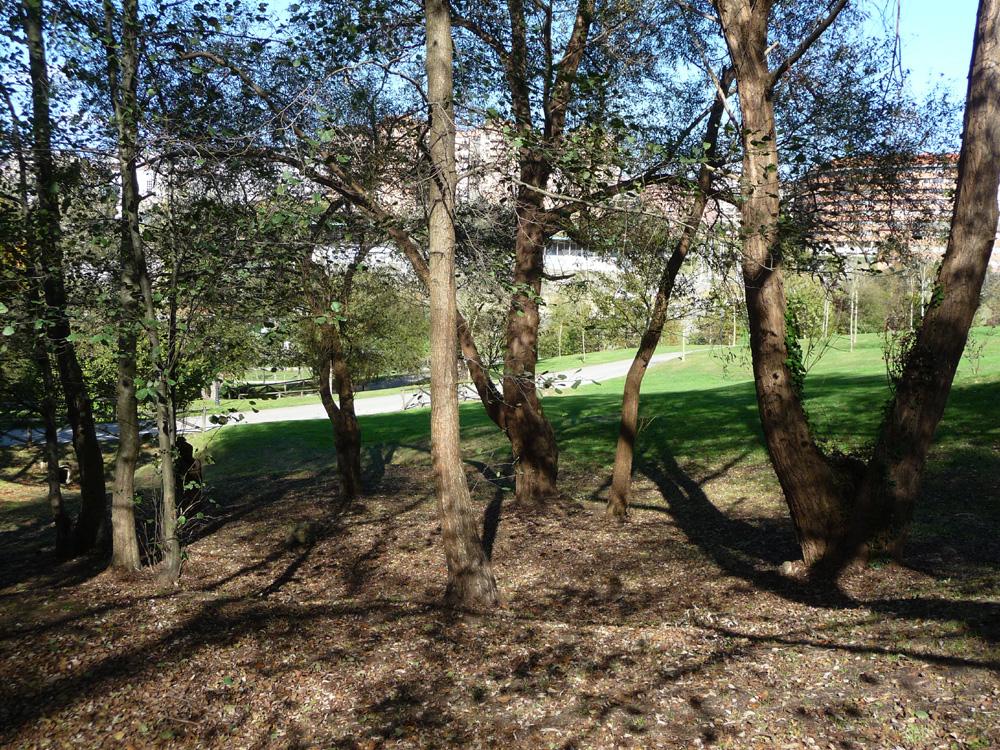 Foto de Oviedo (Asturias), España