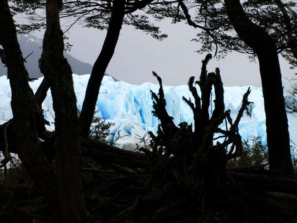 Foto de Patagonia, Argentina