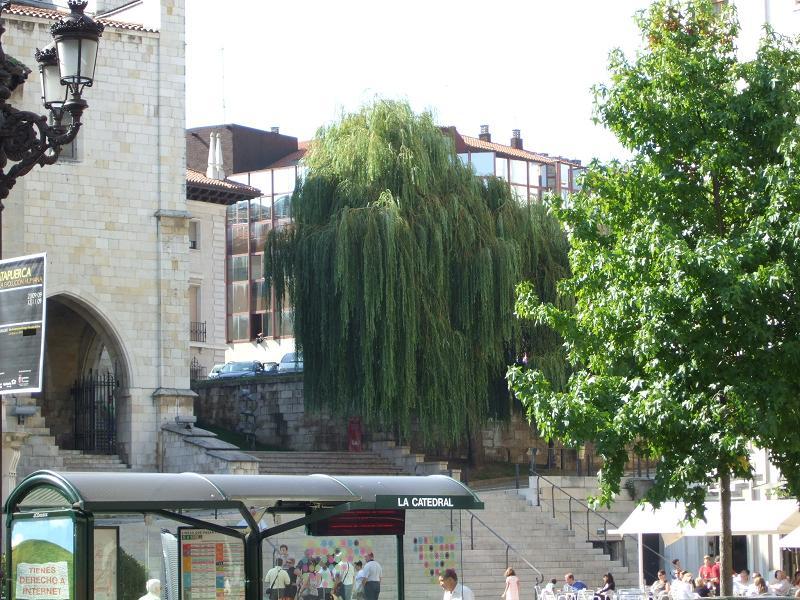Foto de Santander (Cantabria), España
