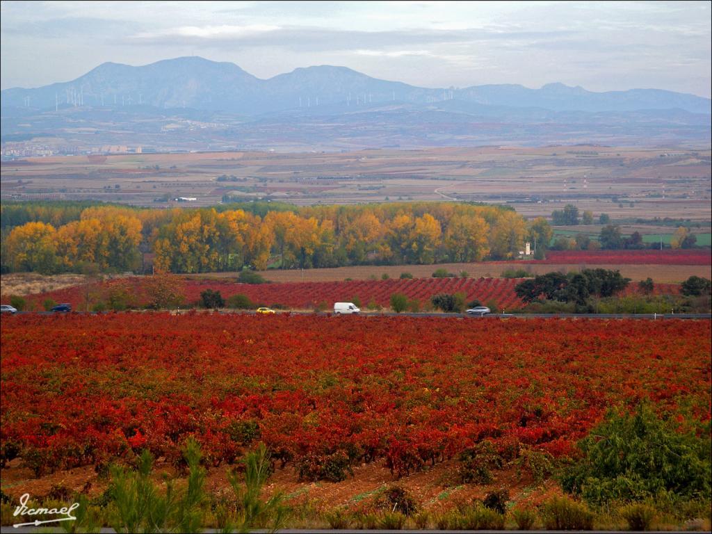Foto de Logroño (La Rioja), España