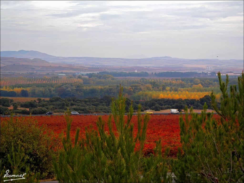 Foto de Logroño (La Rioja), España