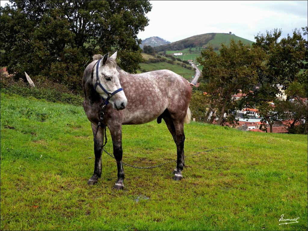 Foto de Liérganes (Cantabria), España