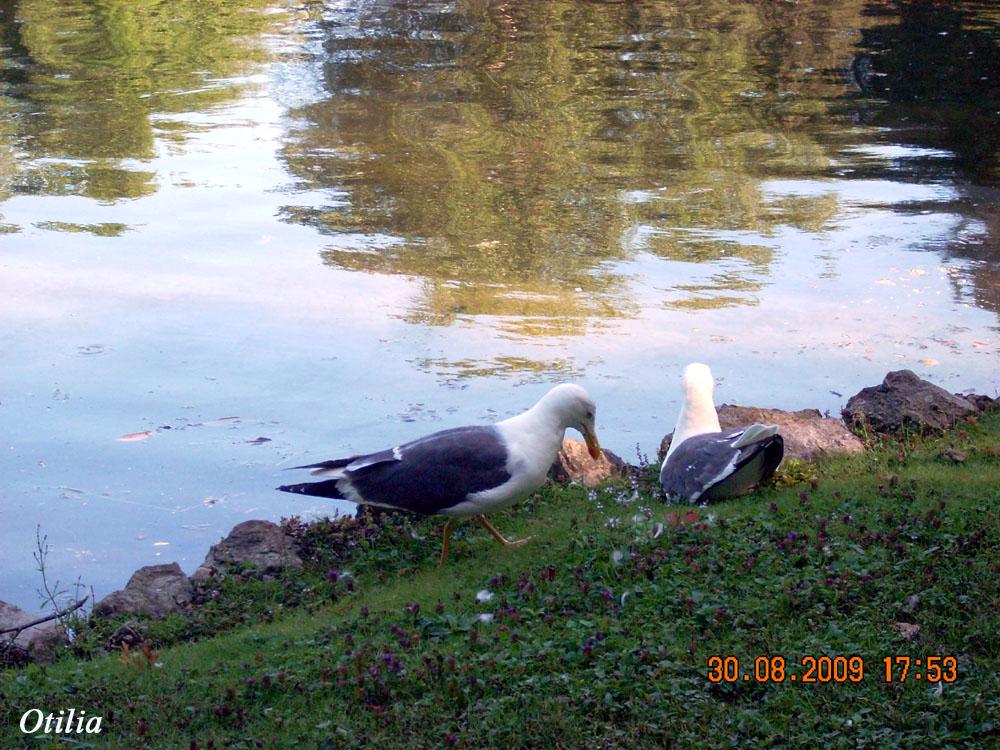 Foto de Gijón (Asturias), España