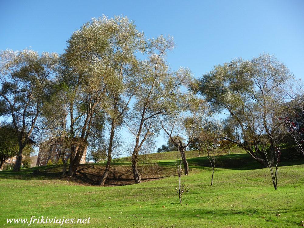 Foto de Oviedo (Asturias), España