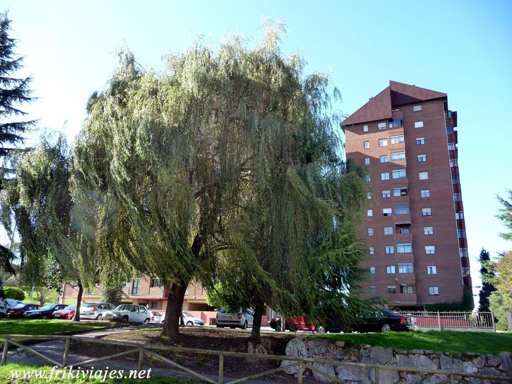 Foto de Oviedo (Asturias), España