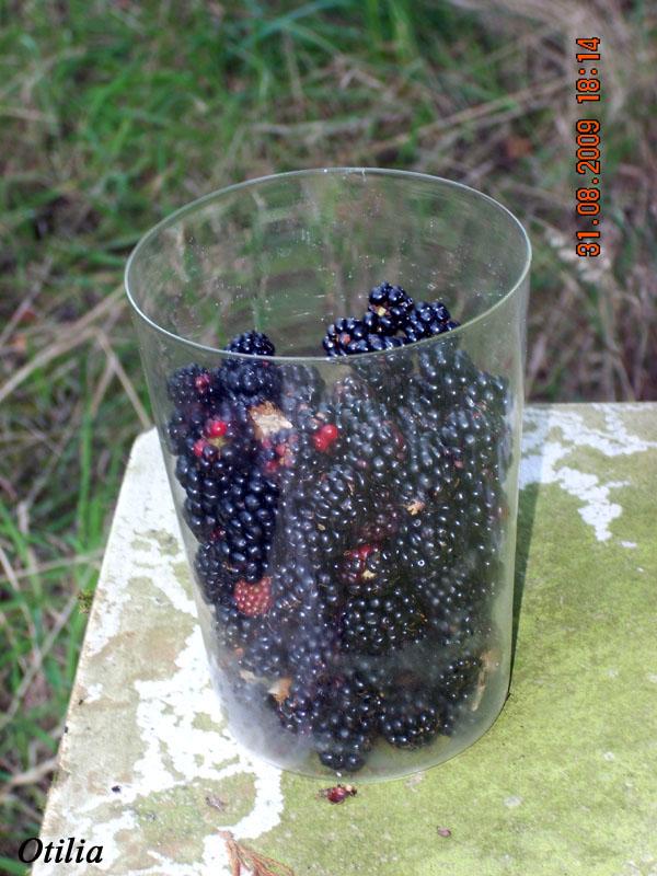 Foto de Figarines (Oviedo) (Asturias), España