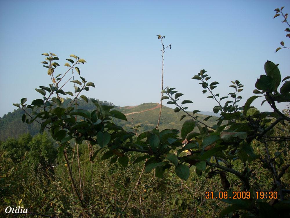 Foto de Figarines (Oviedo) (Asturias), España