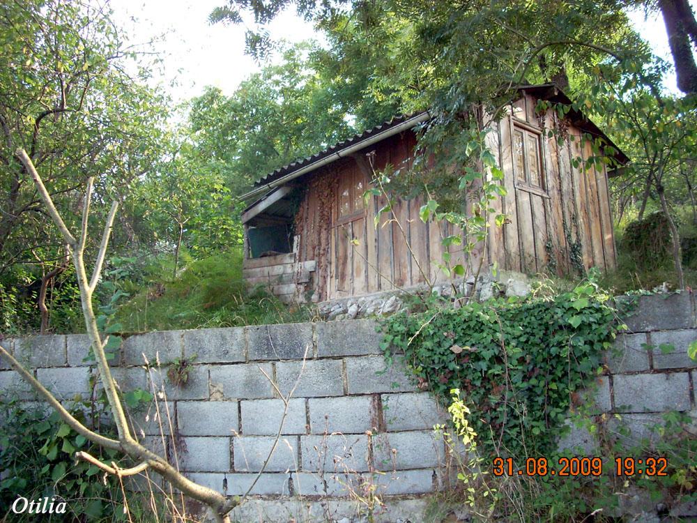 Foto de Figarines (Oviedo) (Asturias), España
