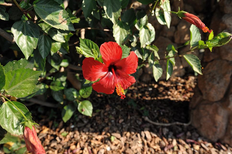 Foto de Barcelona (Cataluña), España