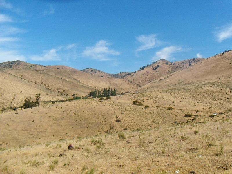 Foto de Illapel, Chile