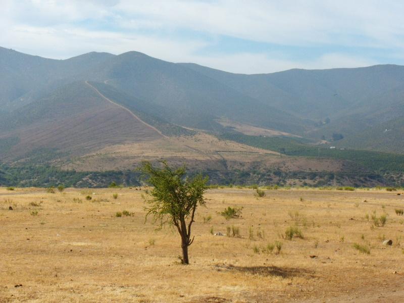 Foto de Illapel, Chile