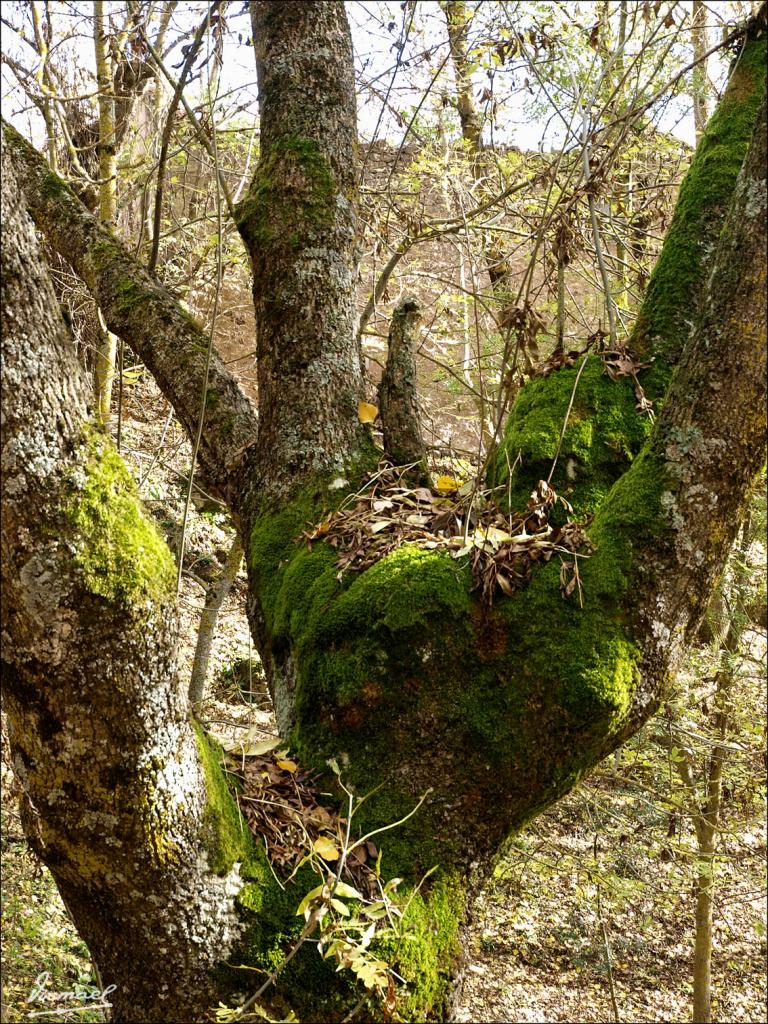 Foto de Fontibre (Cantabria), España