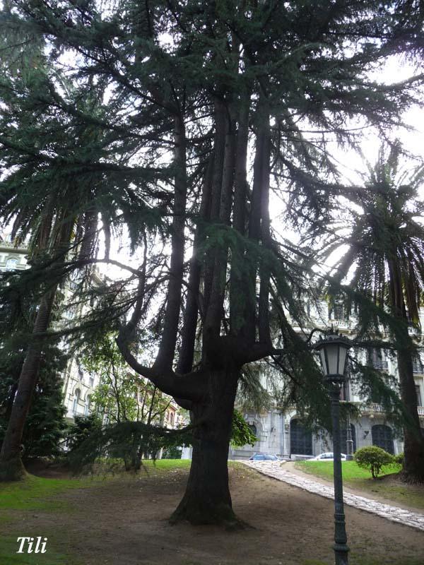 Foto de Oviedo (Asturias), España