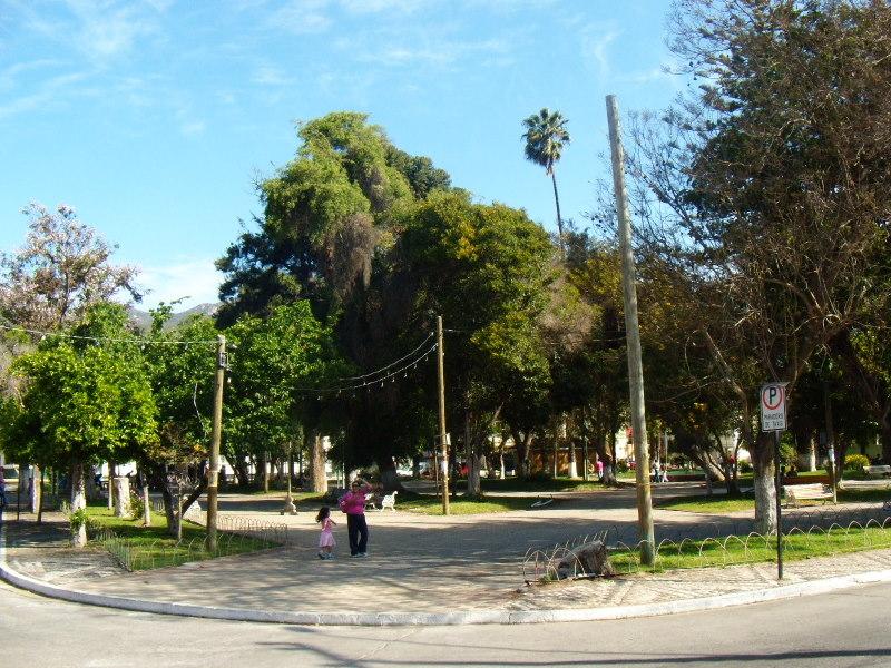 Foto de Illapel, Chile