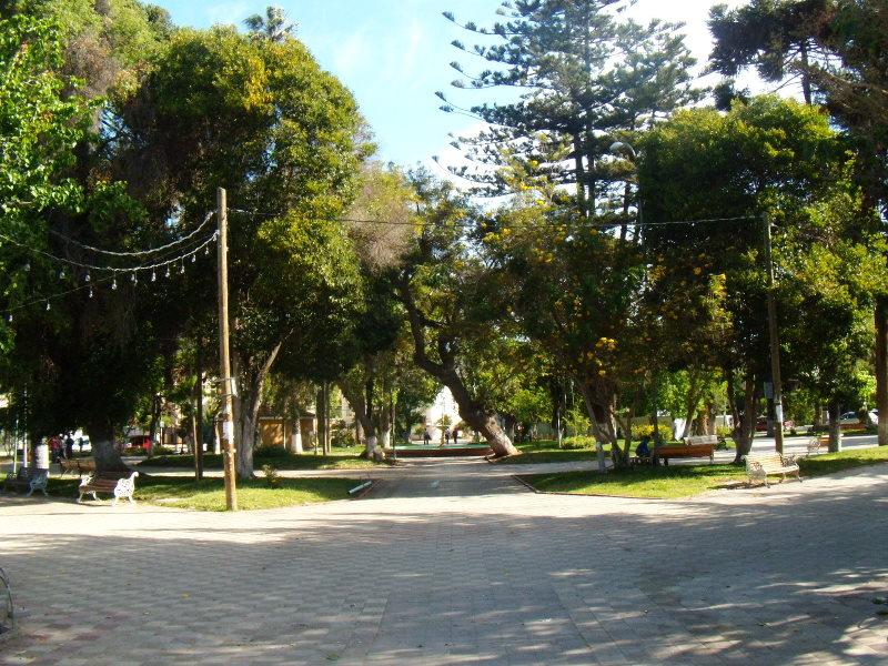 Foto de Illapel, Chile