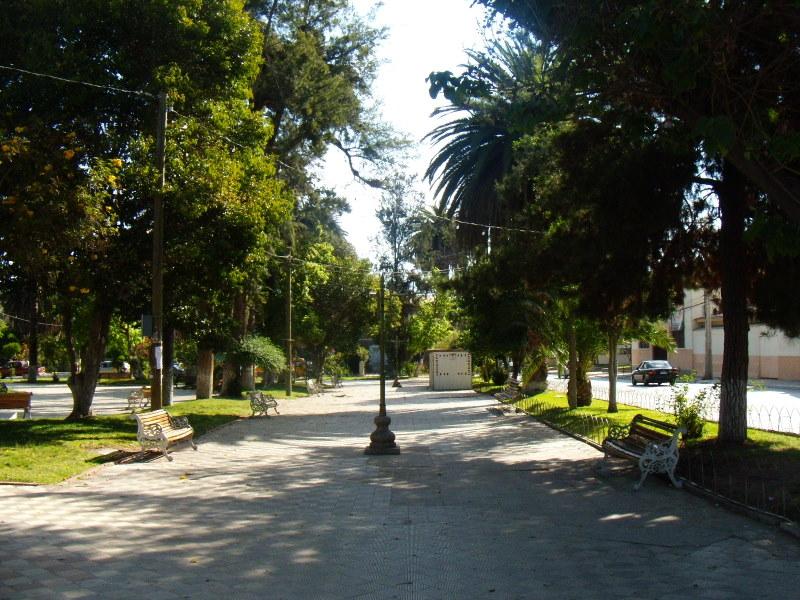 Foto de Illapel, Chile