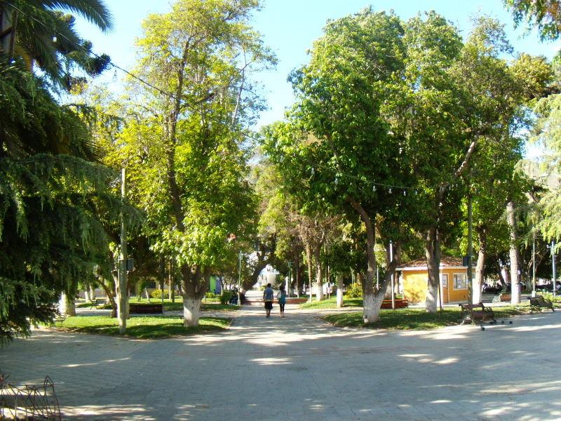 Foto de Illapel, Chile