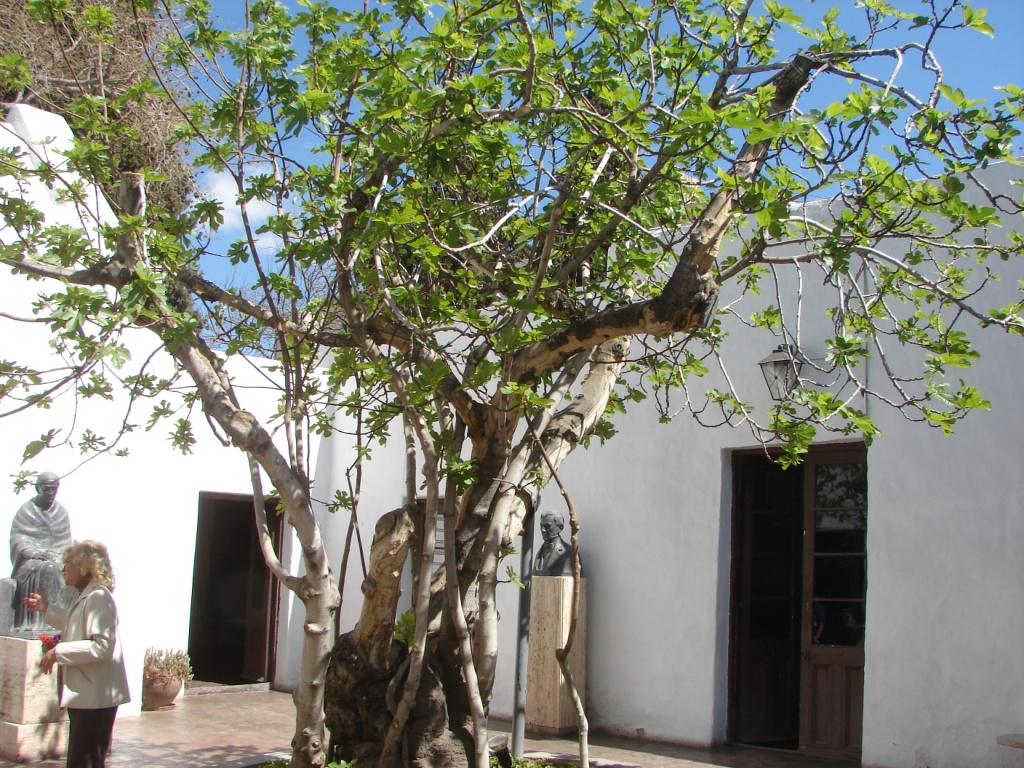 Foto de San Juan, Argentina