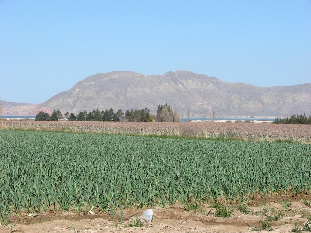 Foto de San Juan, Argentina