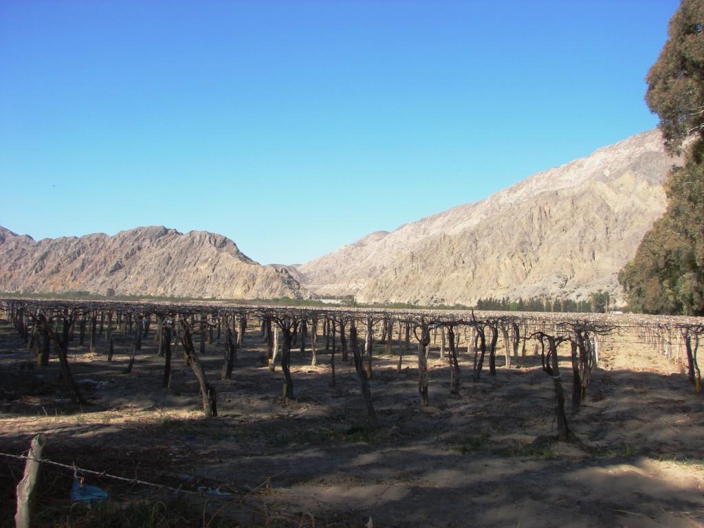 Foto de Zonda, Argentina