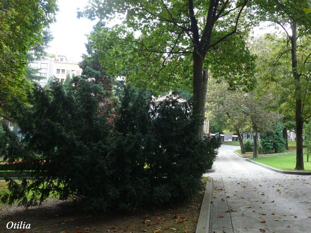 Foto de Oviedo (Asturias), España