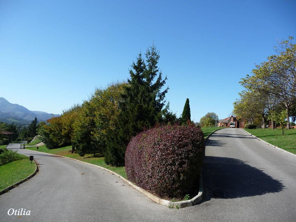 Foto de Oviedo (Asturias), España