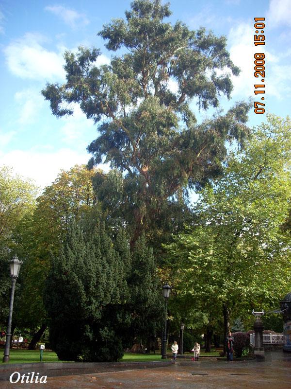 Foto de Oviedo (Asturias), España