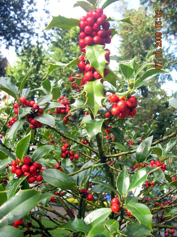 Foto de Oviedo (Asturias), España