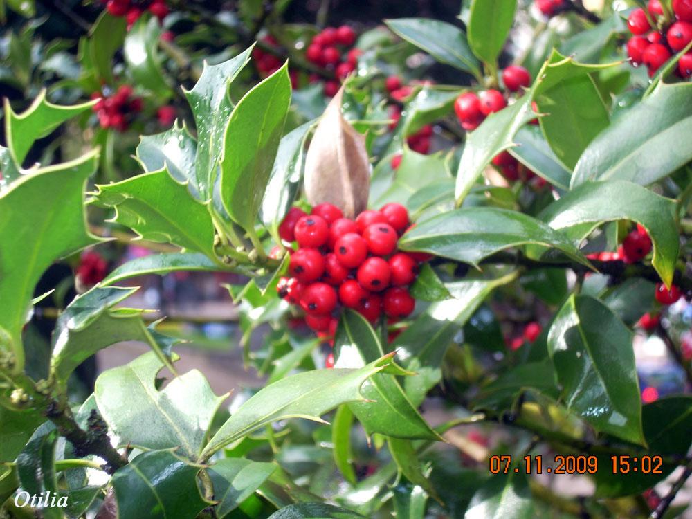 Foto de Oviedo (Asturias), España