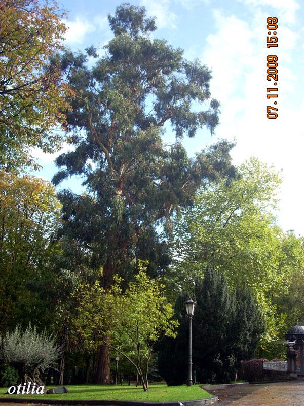 Foto de Oviedo (Asturias), España