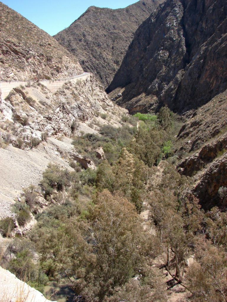 Foto de Jachal, Argentina
